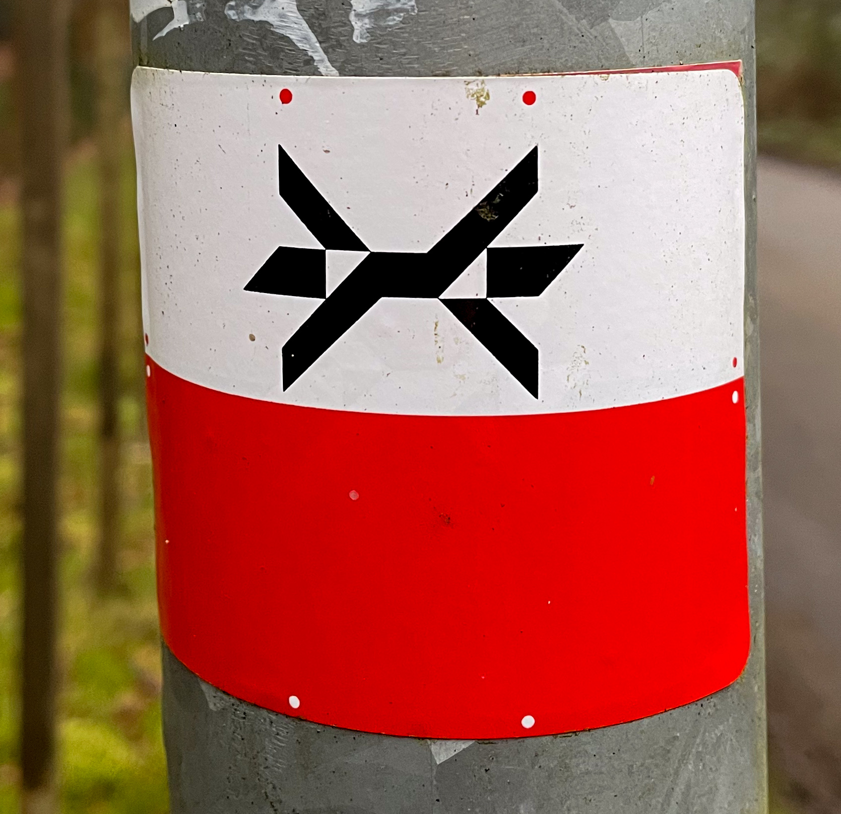 Lees meer over het artikel Waarom het Westerborkpad?