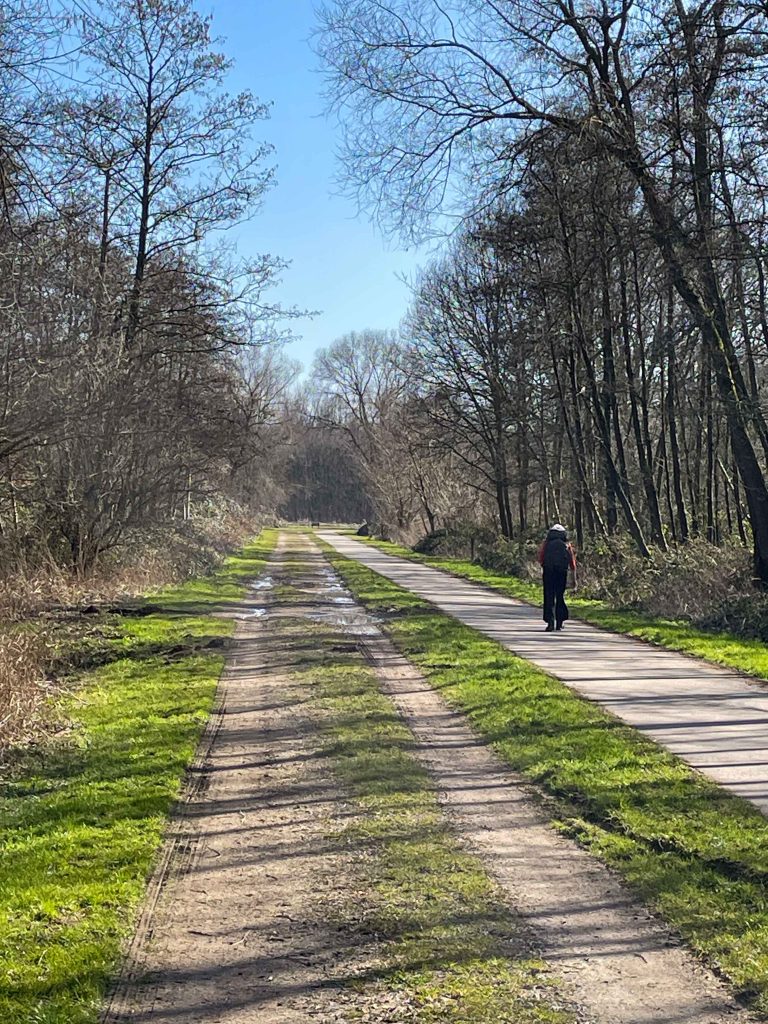 Lees meer over het artikel Etappe 2