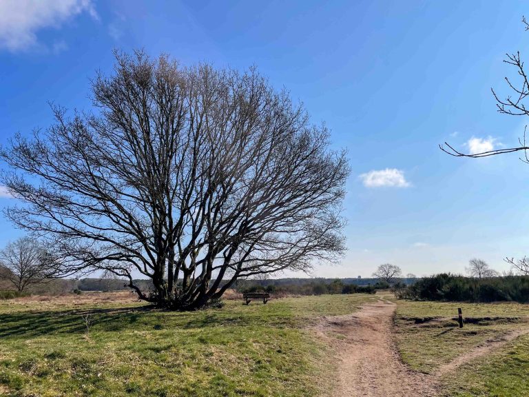 Lees meer over het artikel Etappe 5