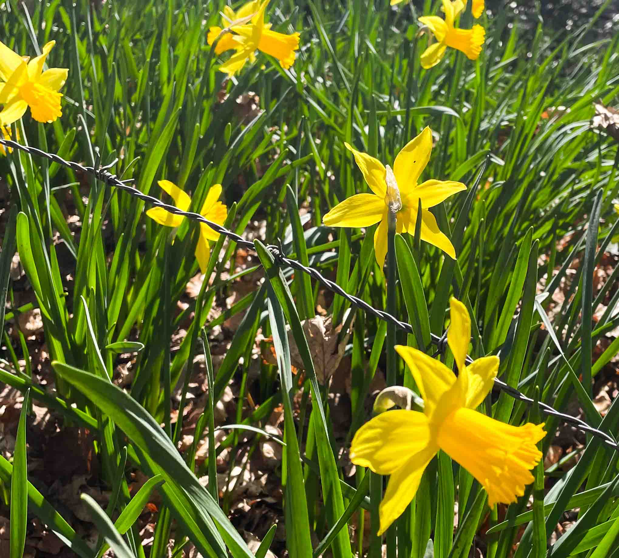 Lees meer over het artikel Etappe 7 en 8