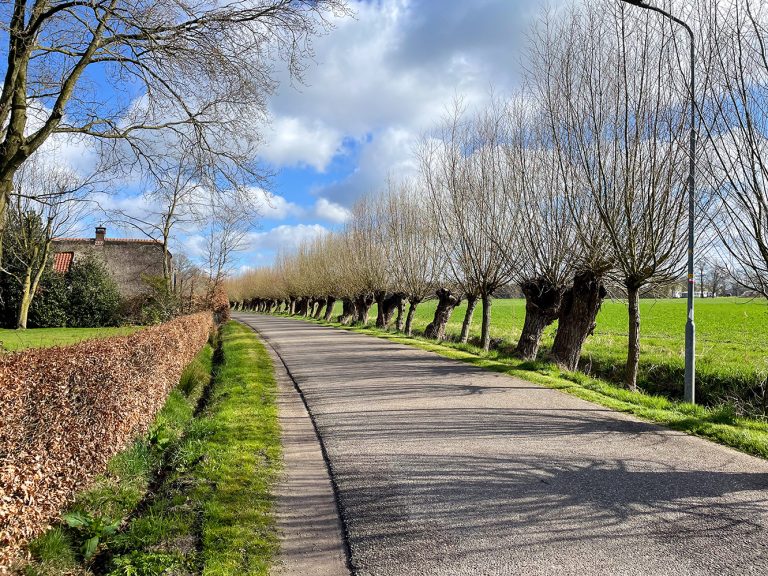 Lees meer over het artikel Etappe 11