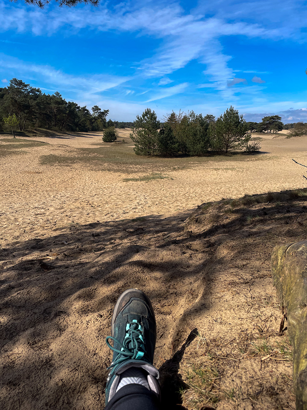 Lees meer over het artikel Etappe 15