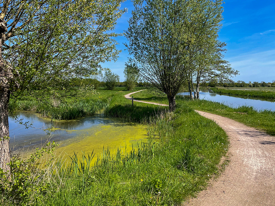 Lees meer over het artikel Etappe 22 en 23