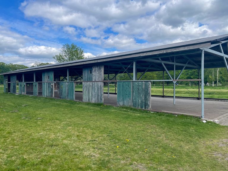 Lees meer over het artikel Etappe 29