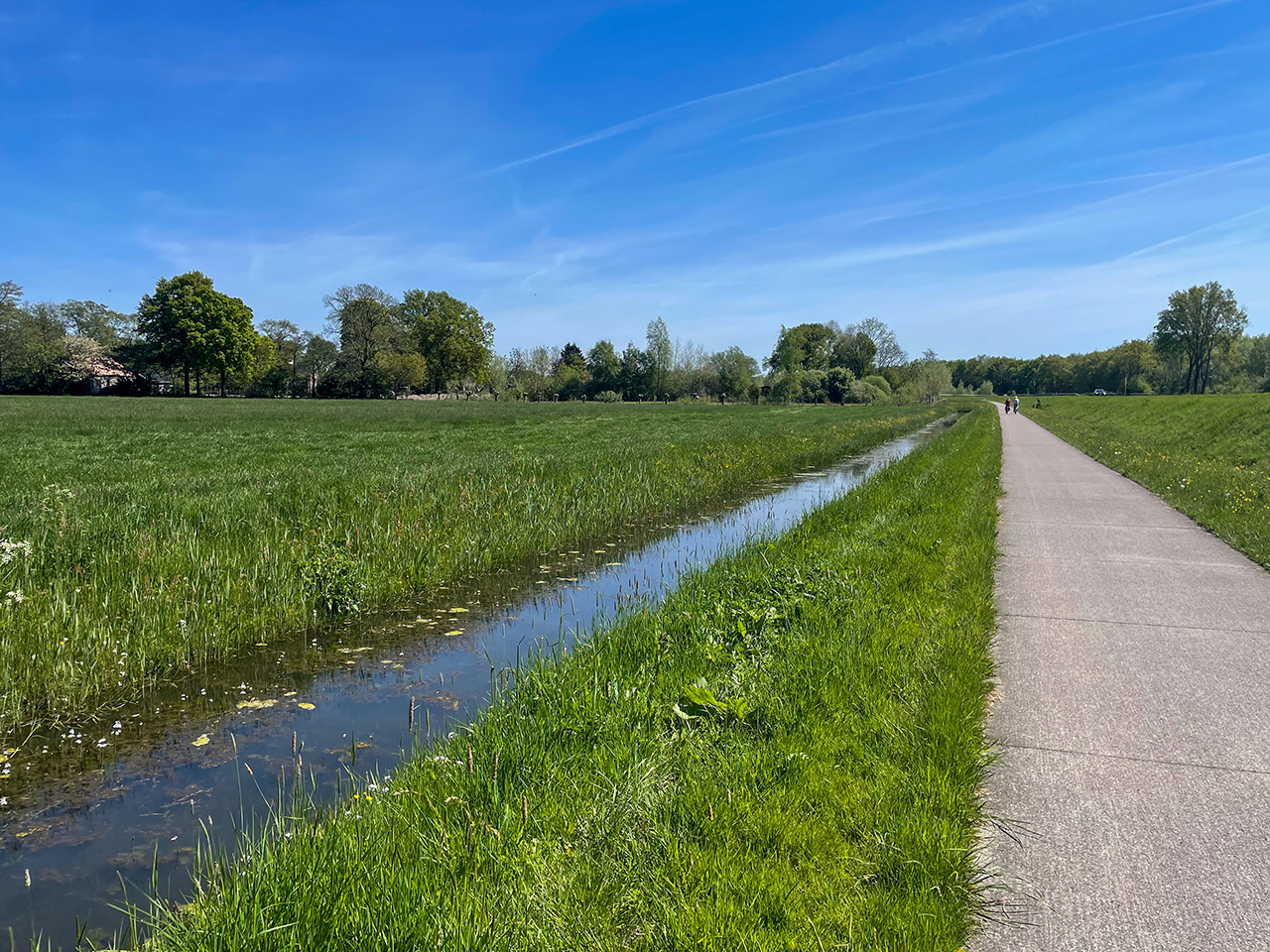 Groen landschap met een wandelpad