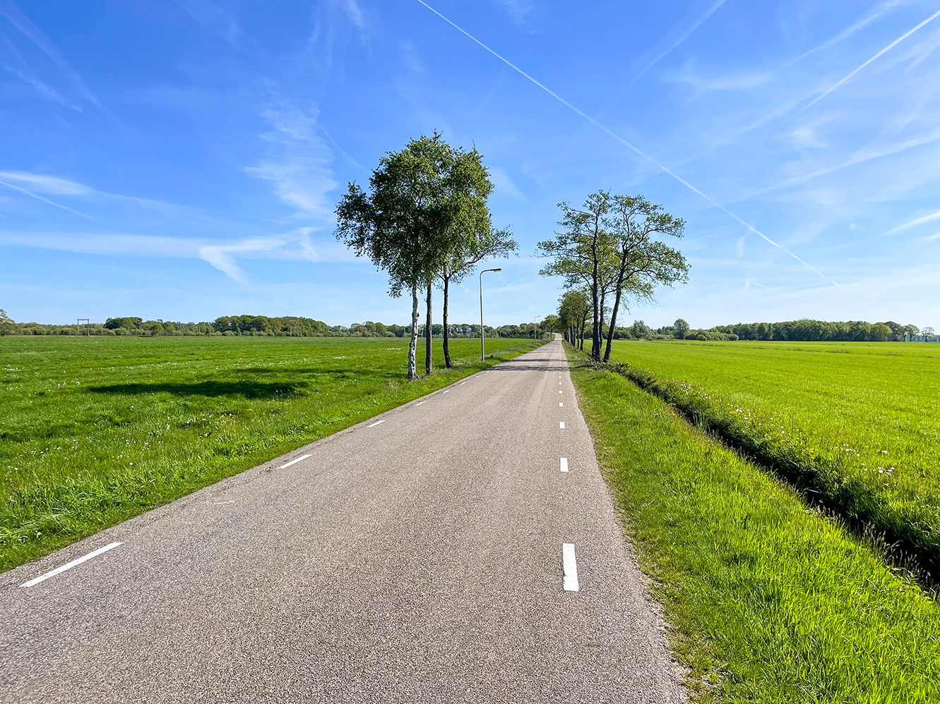Lees meer over het artikel Een ode aan de saaie paden